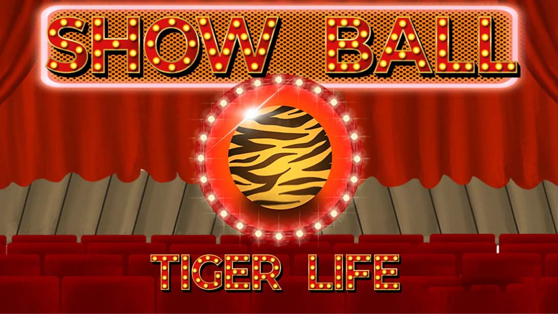[Switch游戏]秀球 虎命 .Show Ball Tiger Life-梦境潮玩