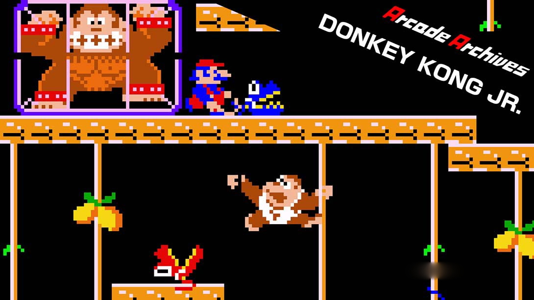 [Switch游戏]街机档案：小金刚 Arcade Archives DONKEY KONG JR-梦境潮玩