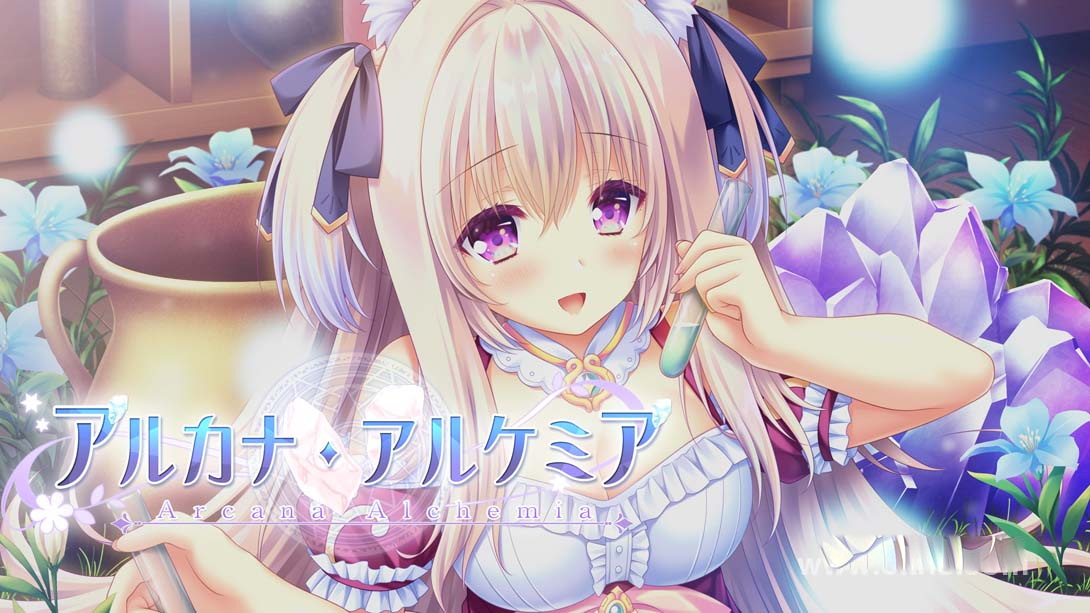 [Switch游戏]炼爱秘仪 .アルカナ・アルケミア-梦境潮玩