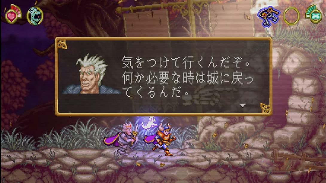 图片[1]-[Switch游戏]战斗公主玛德琳.Battle Princess Madelyn-梦境潮玩