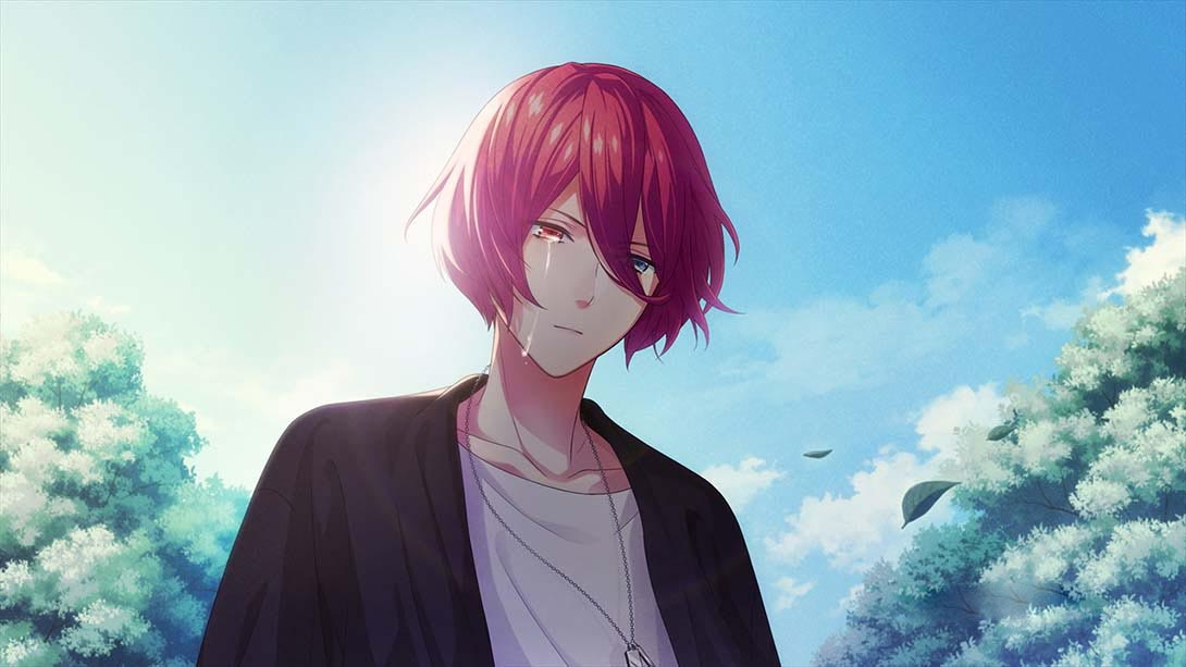 图片[1]-[Switch游戏]B-PROJECT 流星＊ファンタジア-梦境潮玩