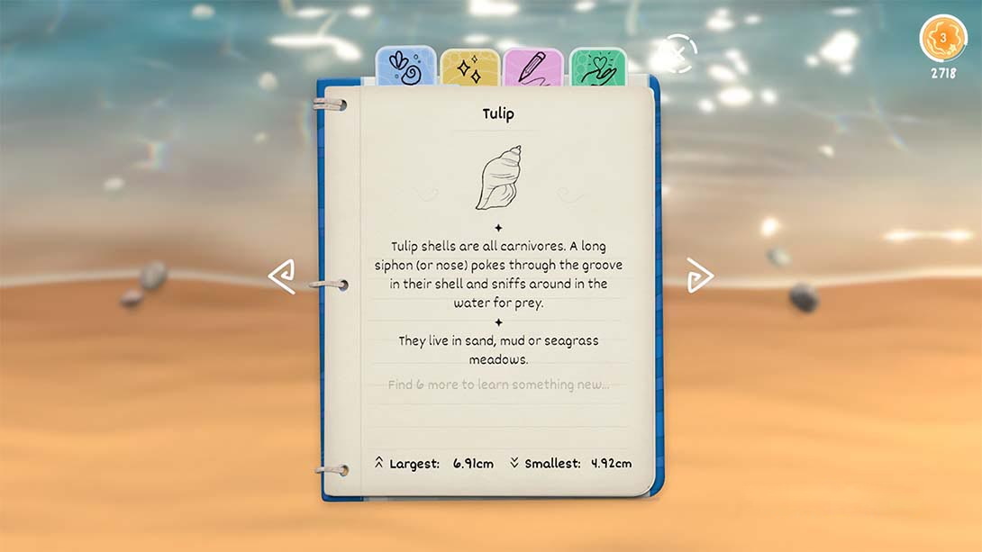 图片[1]-[Switch游戏]贝壳 Seashell-梦境潮玩