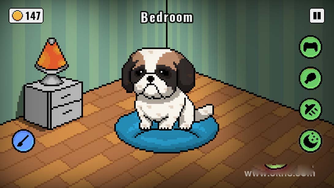 图片[1]-[Switch游戏]我的虚拟宠物 .My Virtual Pet-梦境潮玩