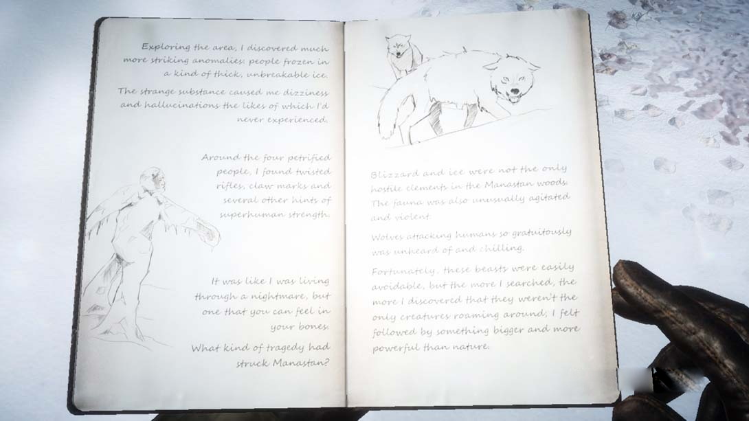 图片[1]-[Switch游戏]科纳风暴2 薄雾 .Kona II Brume-梦境潮玩