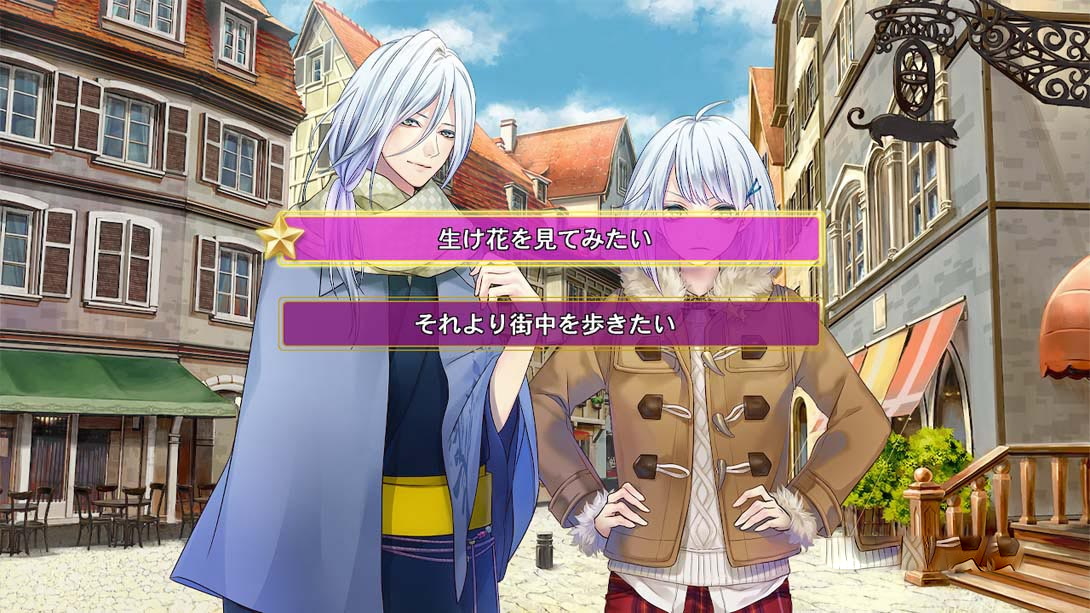 图片[1]-[Switch游戏]マジェスティック☆マジョリカル Majestic Majorical-梦境潮玩