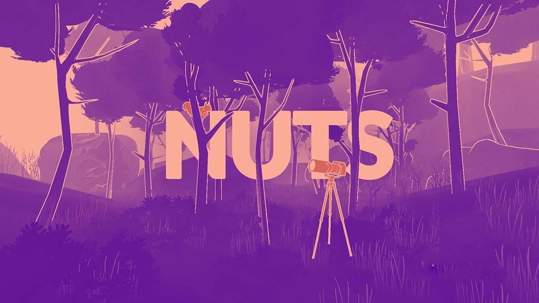 [Switch游戏]NUTS-梦境潮玩