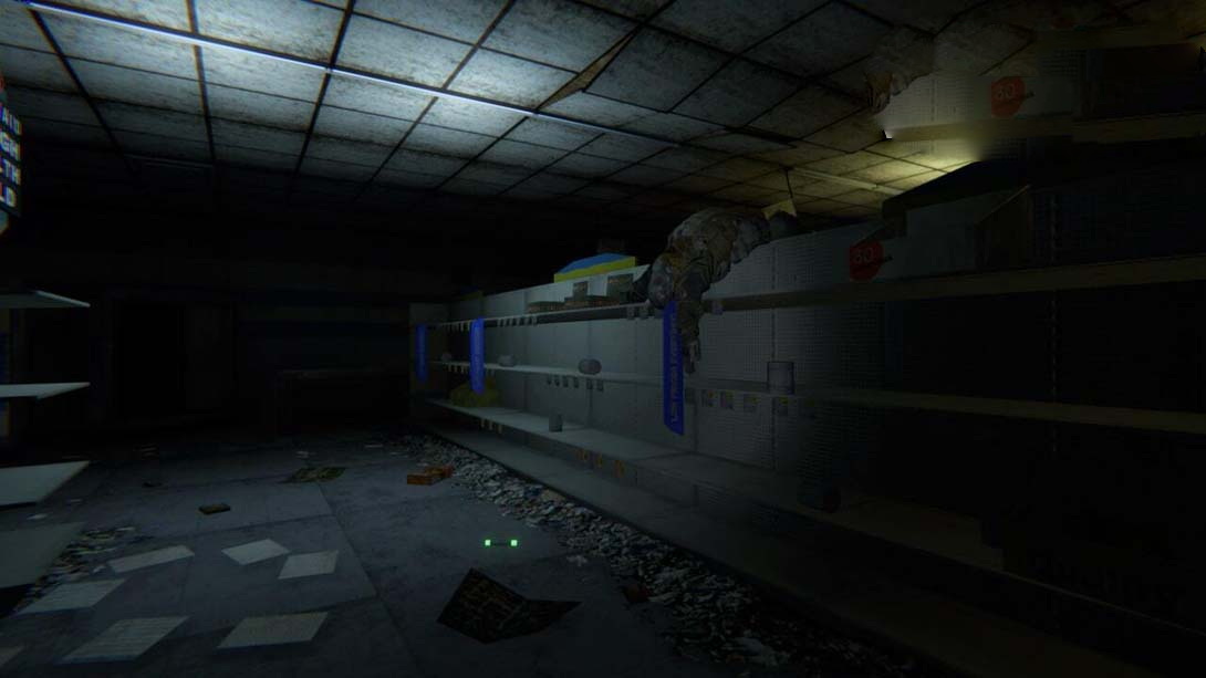 图片[1]-[Switch游戏]后室 逃离恐怖超市 .Backrooms Exit from Supermarket Horror-梦境潮玩