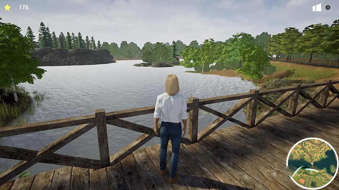 图片[1]-[Switch游戏]我的生活：宠物兽医 My Life: Pet Vet-梦境潮玩