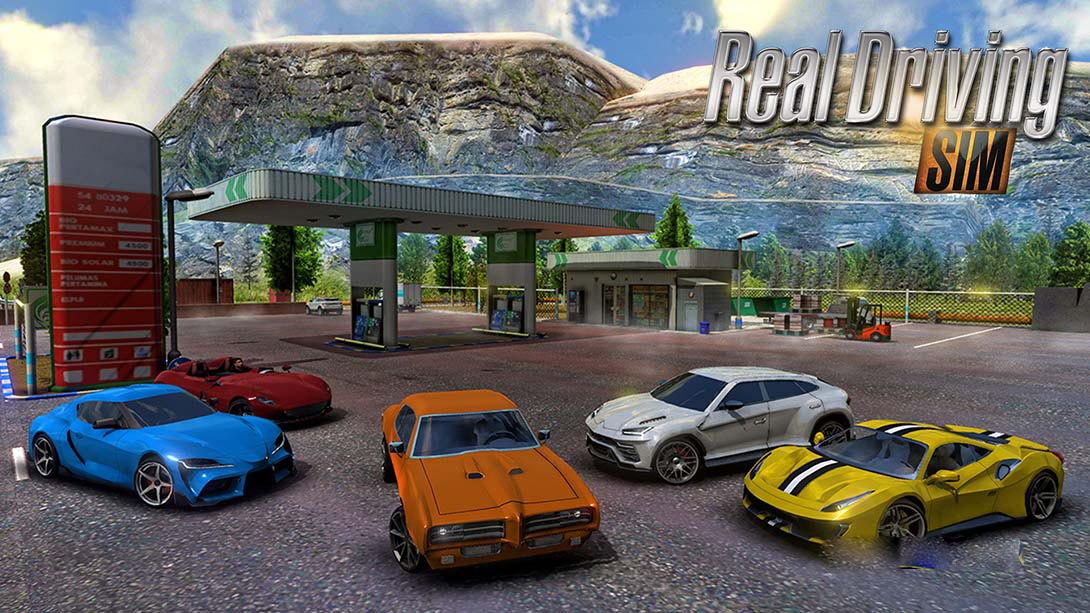 [Switch游戏]真实驾驶模拟 Real Driving Sim-梦境潮玩