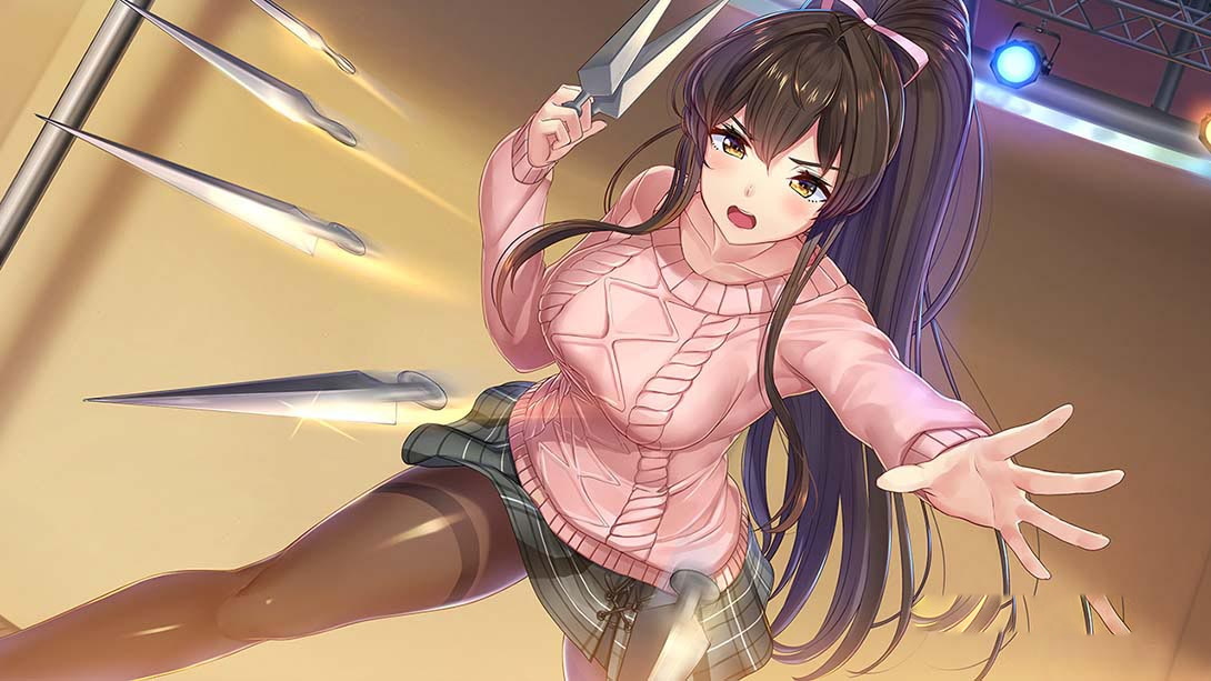 图片[1]-[Switch游戏]与美少女忍者的同居生活 NinNinDays-梦境潮玩