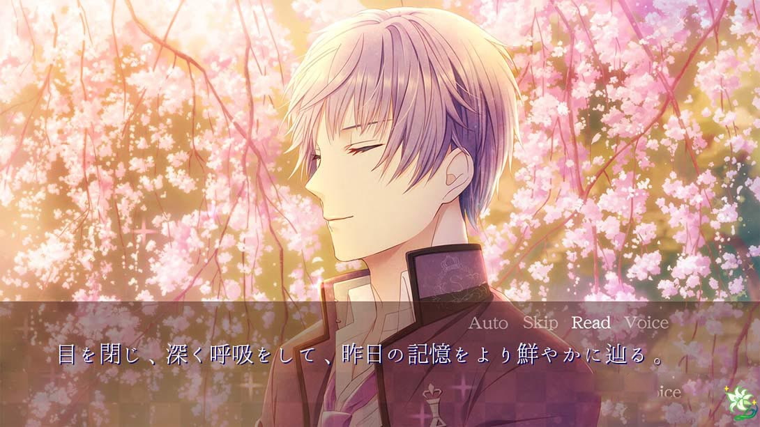 图片[1]-[Switch游戏]公主日白与黑 Himehibi Another Princess Days White or Black-梦境潮玩