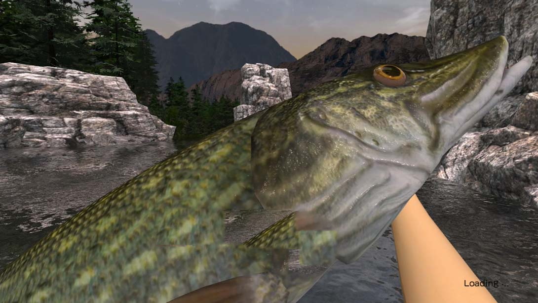 图片[1]-[金手指]户外钓鱼 夏日时光 .Reel Fishing Days of Summer（0.1）金手指-梦境潮玩