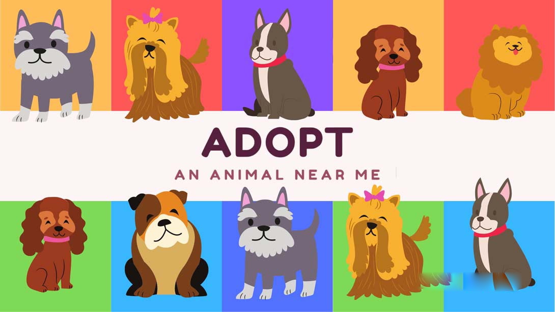 [Switch游戏]在我附近收养一只动物 Adopt an animal near me-梦境潮玩