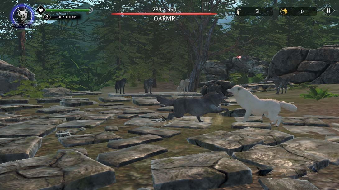 图片[1]-[Switch游戏]狼生存模拟器 Wolf Simulator: RPG Survival Animal Battle-梦境潮玩