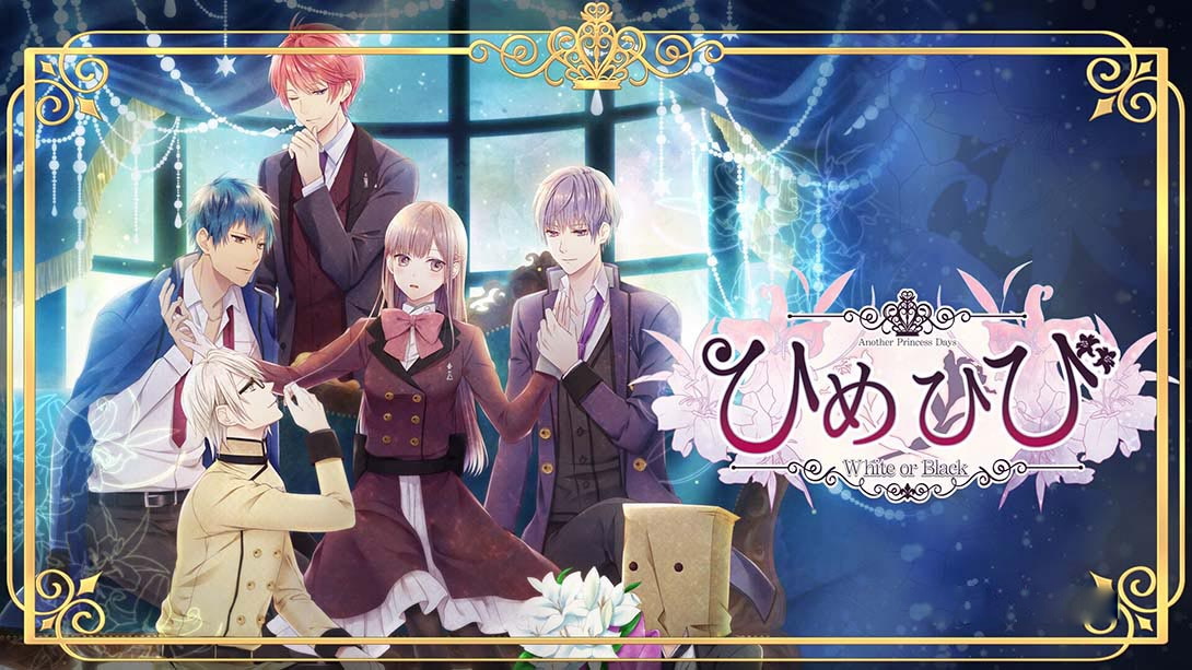 [Switch游戏]公主日白与黑 Himehibi Another Princess Days White or Black-梦境潮玩