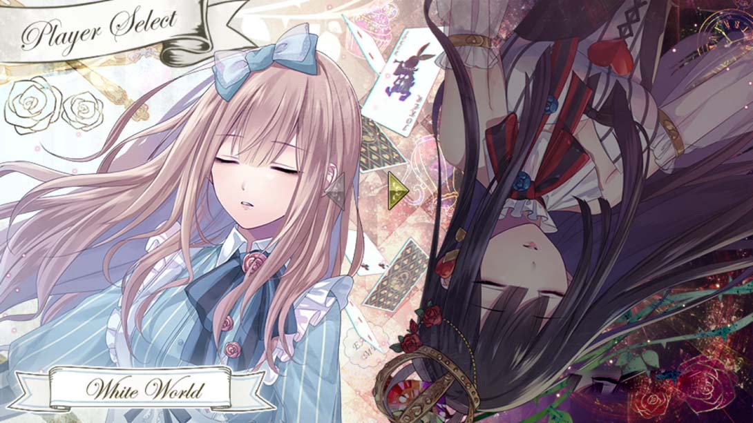 图片[1]-[Switch游戏]白与黑的爱丽丝-梦境潮玩