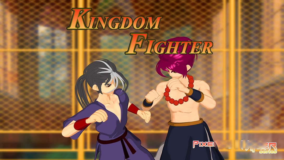 [Switch游戏]Pixel Game Maker Series KINGDOM FIGHTER-梦境潮玩