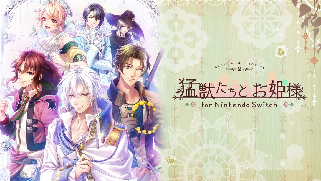 [Switch游戏]猛兽们与公主殿下 .猛獣たちとお姫様-梦境潮玩