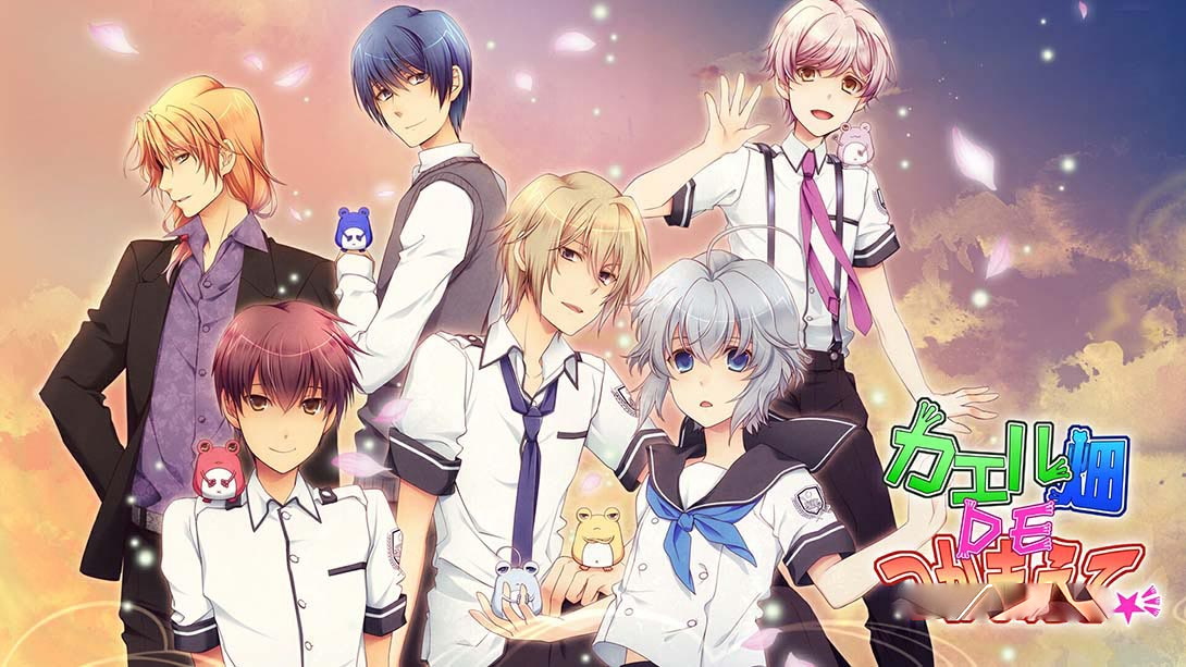 [Switch游戏]蛙畑奇事 カエル畑DEつかまえて 乙女-梦境潮玩